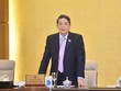 Phó chủ tịch Quốc hội Nguyễn Đức Hải điều hành phiên thảo luận.