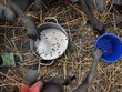 Trẻ em nhặt hạt ngũ cốc rơi vãi trên cánh đồng tại Ayod, Nam Sudan. Ảnh tư liệu: AFP/TTXVN 