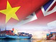 Năm đầu thực thi UKVFTA: Việt Nam xuất siêu 4,8 tỷ USD sang Anh