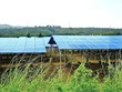 Các công trình điện mặt trời ở miền Trung có nhiều sai phạm. Ảnh: P.V