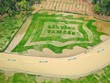 Trên diện tích 10.000 m2, nông dân Ninh Bình cấy lúa tạo hình lá cờ hội với dòng chữ Sắc vàng Tam Cốc. Ảnh Trường Huy