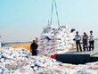 Bộ Tài chính đề xuất tăng thuế xuất khẩu, nhằm giảm giá phân bón trong nước.
