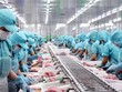 Xuất khẩu thủy sản tháng 7 xuống dưới ngưỡng 1 tỷ USD