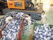 Các doanh nghiệp ngành nhựa đạt tăng trưởng mạnh trong giai đoạn thị trường giảm tốc vừa qua