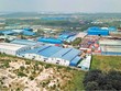Nhiều nhà xưởng mọc trái phép trong khu hơn 72 ha của Cụm công nghiệp Phước Tân