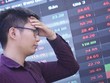 Thị trường chứng khoán lao dốc mạnh đã ảnh hưởng tới lợi nhuận đầu tư của các doanh nghiệp bảo hiểm