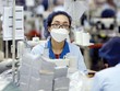 Xuất khẩu của Việt Nam sang các thị trường có FTA tăng trưởng mạnh Ảnh: Đức Thanh
