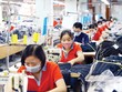 Dệt may là một trong những ngành hàng có kim ngạch xuất khẩu giảm sâu trong những tháng đầu năm nay. Ảnh: Đ.T