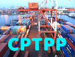 Biểu thuế xuất khẩu ưu đãi đặc biệt thực hiện Hiệp định CPTPP gồm 609 dòng thuế và biểu thuế nhập khẩu gồm 11.526 dòng thuế.