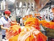 Doanh nghiệp dệt may đang gặp rất nhiều khó khăn trong việc ký mới đơn hàng xuất khẩu. Ảnh: Đức Thanh