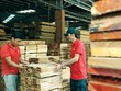 Xuất khẩu khó khăn, nên nhiều doanh nghiệp ngành gỗ quay về phát triển thị trường nội địa