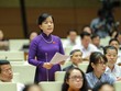 Đại biểu Quốc hội Nguyễn Thị Kim Thúy.