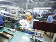 Lắp ráp thiết bị điện tử tại nhà máy của Công ty TNHH Sankoh Việt Nam. Ảnh: Đức Thanh