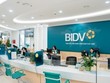 8 tháng đầu năm, BIDV sử dụng chưa hết một nửa room tín dụng