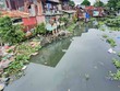 Một đoạn rạch Xuyên Tâm thuộc địa bàn quận Bình Thạnh bị ô nhiễm nặng - Ảnh: Lê Toàn 