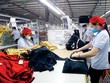 Nhiều doanh nghiệp dệt may vẫn đang gặp khó trong sản xuất, kinh doanh