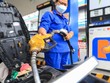 Giá bán lẻ xăng dầu đồng loạt giảm tại kỳ điều hành ngày 13/11/2023