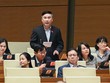 Đại biểu Lê Hoàng Anh (Gia Lai) tranh luận.