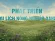 Phát triển nông nghiệp xanh, bền vững gắn với mô hình du lịch nông thôn 