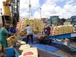 Vận chuyển gạo xuất khẩu xuống container. (Ảnh: Vũ Sinh/TTXVN) 