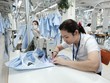 Sau một năm suy giảm tăng trưởng, các doanh nghiệp dệt may đã nhìn thấy triển vọng tích cực hơn