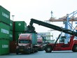 Hoạt động xuất nhập khẩu tăng trưởng trưởng trở lại tác động tích cực lên các doanh nghiệp cảng biển