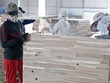 Ngành gỗ xuất khẩu đang gặp khó về đầu ra, đồng thời đối mặt với một số vấn đề liên quan sản xuất bền vững Ảnh: Đ.T