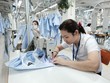 Ngành dệt may đang đón tín hiệu tích cực từ thị trường xuất khẩu 