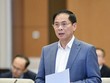 Bộ trưởng Bộ Ngoại giao Bùi Thanh Sơn chuẩn bị trả lời chất vấn.