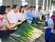 Hải Phòng đẩy nhanh tiến độ xây dựng xã nông thôn mới kiểu mẫu