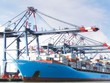 Tín hiệu thuận cho “siêu” cảng cửa ngõ Cái Mép Hạ 