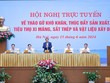 Thủ tướng chủ trì Hội nghị tháo gỡ khó khăn ngành xi măng, sắt thép, VLXD