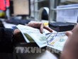 Kiểm tiền USD. Ảnh: THX/TTXVN