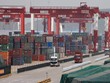Bến container của cảng Thanh Đảo, tỉnh Sơn Đông, Trung Quốc. Ảnh: Reuters