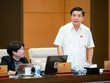 Tổng thư ký Quốc hội Bùi Văn Cường phát biểu tại phiên thảo luận.