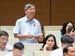 Đại biểu Nguyễn Anh Trí phát biểu tại phiên thảo luận.