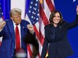 Ông Donald Trump và bà Kamala Harris. Ảnh: AFP