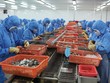 Tình hình xuất khẩu thủy sản Việt Nam có chuyển biến tích cực 