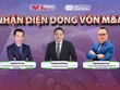 Nhận diện dòng vốn M&A 