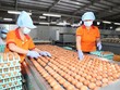 Năm 2025, ngành chăn nuôi đặt mục tiêu giá trị sản xuất toàn ngành tăng khoảng 4 - 5% so với năm 2024.