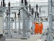 Luật Điện lực năm 2024 đã giao Chính phủ quy định chi tiết về giấy phép hoạt động điện lực. 