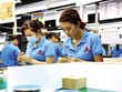 Chỉ khoảng 6% doanh nghiệp vừa và lớn của Việt Nam đủ tiêu chuẩn là nhà cung cấp cấp 1-3 của các đối tác nước ngoài. Trong ảnh: Sản xuất gia công tại một nhà cung cấp của Samsung. Ảnh: Đức Thanh 