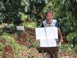 Vụ vải năm 2025 toàn huyện Tân Yên có gần 1.400 ha vải thiều chín sớm được cấp mã số vùng trồng. Ảnh: Linh Nguyễn