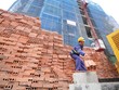 Giá bán và sản lượng tăng giúp doanh nghiệp vật liệu xây dựng kỳ vọng vào một năm kinh doanh khả quan hơn