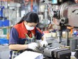 PMI tháng 7 đạt 52,4 điểm, số lượng đơn đặt hàng mới tăng sau 4 tháng 