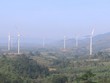 Nhà đầu tư đề xuất cụm dự án điện gió 317 triệu USD tại Quảng Trị 