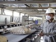 Xi măng là một trong những nhóm ngành được hưởng lợi rõ rệt từ sự tăng trưởng của đầu tư công