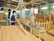 Gỗ và sản phẩm gỗ là nhóm hàng xuất khẩu tỷ USD sang Mỹ. 
