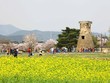 Lễ hội Hoa anh đào Gyeongju. Ảnh: KTO Việt Nam.