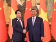Việt Nam - Trung Quốc nhất trí củng cố “3 nền tảng” phát triển quan hệ 